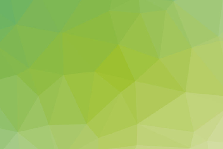 Small Business Solutions